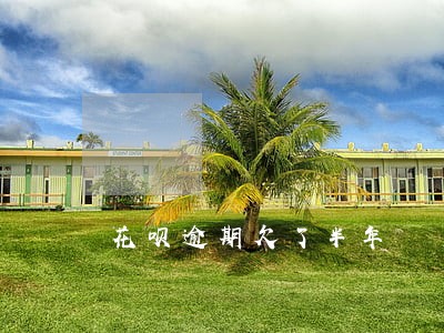 花呗逾期欠了半年 花呗逾期欠了半年