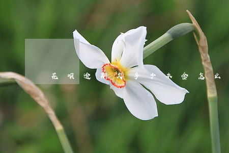 花呗逾期欠多少本金怎么查 花呗逾期欠多少本金怎么查