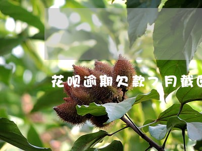 花呗逾期欠款7月截图 花呗逾期欠款7月截图
