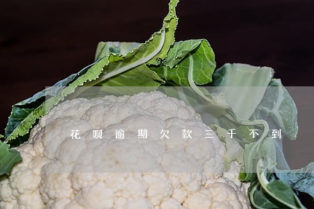 花呗逾期欠款三千不到
