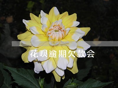 花呗逾期欠款会 花呗逾期欠款会