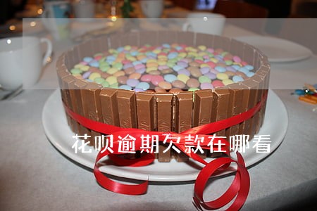 花呗逾期欠款在哪看 花呗逾期欠款在哪看