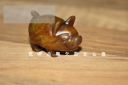 花呗逾期欠款怎么查 花呗逾期欠款怎么查