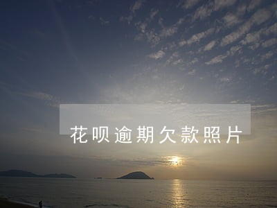 花呗逾期欠款照片 花呗逾期欠款照片