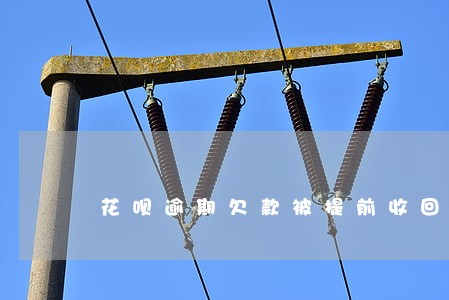 花呗逾期欠款被提前收回 花呗逾期欠款被提前收回