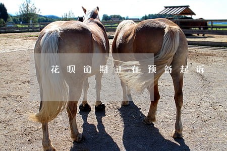 花呗逾期正在预备起诉 花呗逾期正在预备起诉