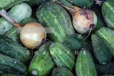 花呗逾期每天利息 花呗逾期每天利息