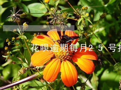 花呗逾期每月25号打电话