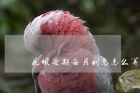花呗逾期每月利息怎么算 花呗逾期每月利息怎么算