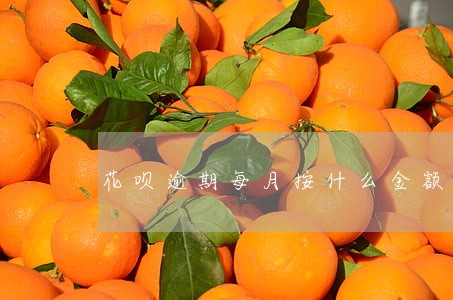 花呗逾期每月按什么金额 花呗逾期每月按什么金额