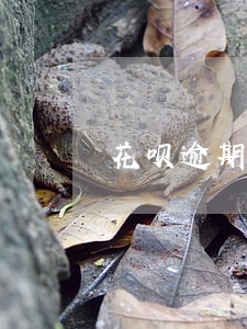 花呗逾期每月还款还好催收么 花呗逾期每月还款还好催收么