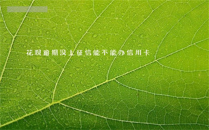 花呗逾期没上征信能不能办信用卡