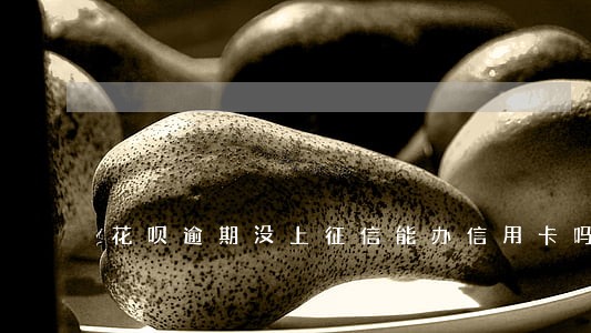 花呗逾期没上征信能办信用卡吗