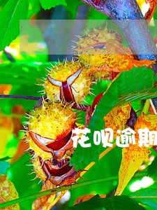 花呗逾期没打电话是不是要上门了 花呗逾期没打电话是不是要上门了