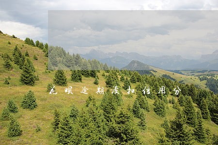 花呗逾期没扣信用分 花呗逾期没扣信用分
