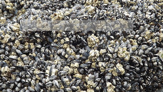 花呗逾期没接电话后果怎样 花呗逾期没接电话后果怎样
