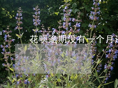 花呗逾期没有一个月还了被关 花呗逾期没有一个月还了被关