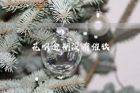花呗逾期没有催收 花呗逾期没有催收