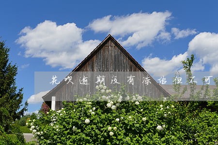 花呗逾期没有冻结但不可以使用