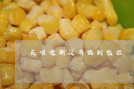 花呗逾期没有收到电话 花呗逾期没有收到电话