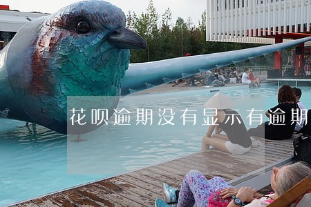 花呗逾期没有显示有逾期记录吗 花呗逾期没有显示有逾期记录吗