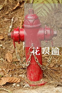 花呗逾期没有通知 花呗逾期没有通知