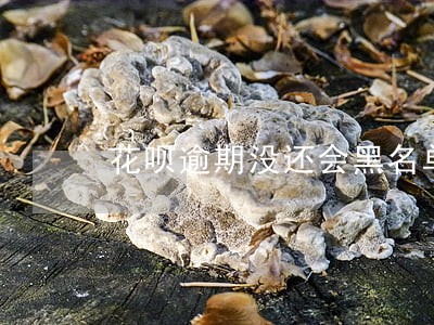 花呗逾期没还会黑名单吗 花呗逾期没还会黑名单吗