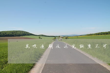 花呗逾期没还完额度不可用 花呗逾期没还完额度不可用