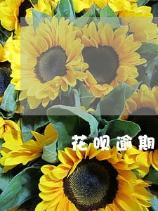 花呗逾期没还有什么后果 花呗逾期没还有什么后果