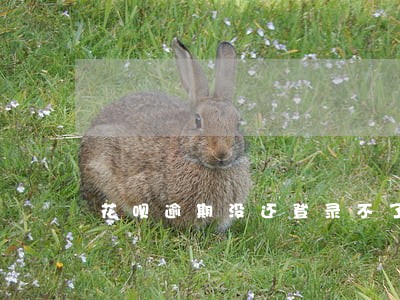 花呗逾期没还登录不了账户 花呗逾期没还登录不了账户