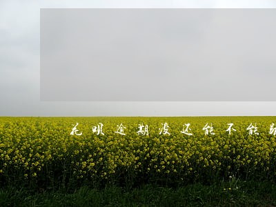 花呗逾期没还能不能助学贷款 花呗逾期没还能不能助学贷款