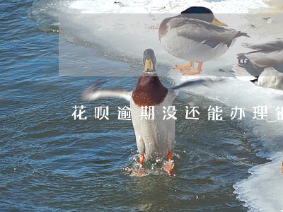 花呗逾期没还能办理银行卡吗 花呗逾期没还能办理银行卡吗