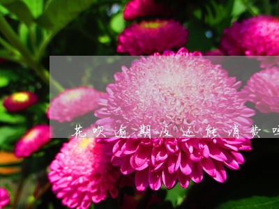 花呗逾期没还能消费吗 花呗逾期没还能消费吗