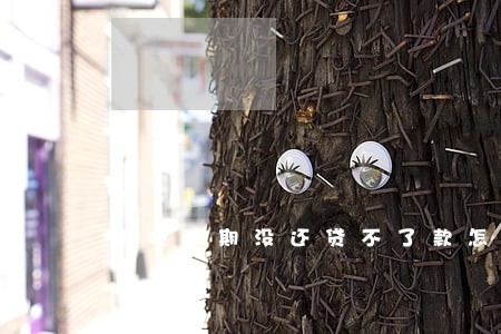 花呗逾期没还贷不了款怎么办 花呗逾期没还贷不了款怎么办