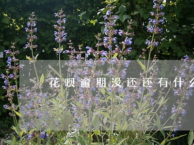 花呗逾期没还还有什么可以借钱的 花呗逾期没还还有什么可以借钱的