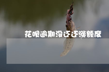 花呗逾期没还还涨额度 花呗逾期没还还涨额度