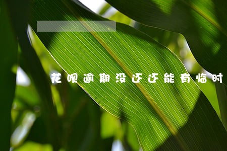花呗逾期没还还能有临时额度吗 花呗逾期没还还能有临时额度吗