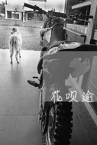 花呗逾期没还钱会扣多少信用分