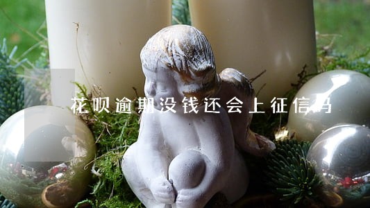 花呗逾期没钱还会上征信吗 花呗逾期没钱还会上征信吗