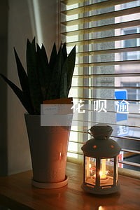 花呗逾期没钱还可以关闭吗