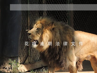 花呗逾期法律文件 花呗逾期法律文件