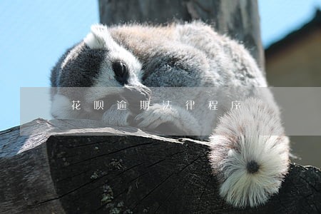 花呗逾期法律程序 花呗逾期法律程序