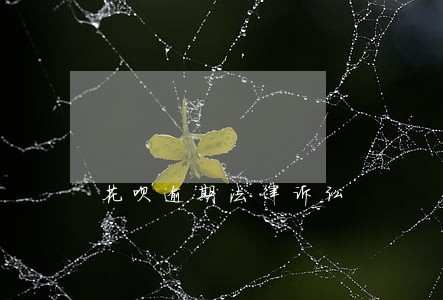 花呗逾期法律诉讼 花呗逾期法律诉讼