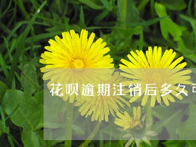 花呗逾期注销后多久可以开通 花呗逾期注销后多久可以开通