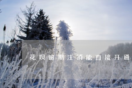 花呗逾期注销能直接开通吗 花呗逾期注销能直接开通吗