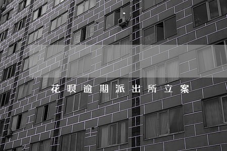 花呗逾期派出所立案