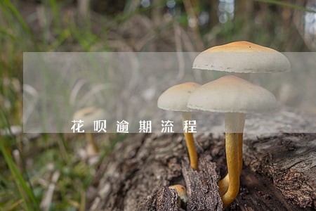 花呗逾期流程 花呗逾期流程