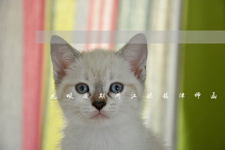 花呗逾期浙江绿银律师函 花呗逾期浙江绿银律师函