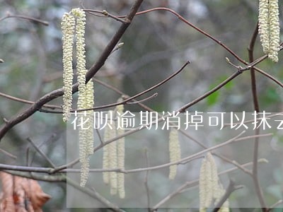 花呗逾期消掉可以抹去信用污点吗 花呗逾期消掉可以抹去信用污点吗