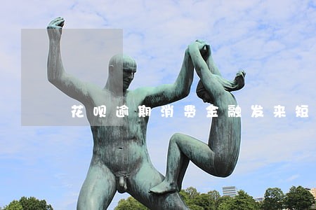 花呗逾期消费金融发来短信 花呗逾期消费金融发来短信